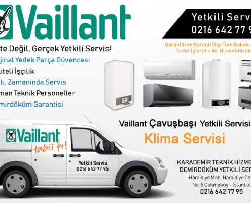 çavuşbaşı vaillant servisi, çavuşbaşı vaillant klima servisi, vaillant çavuşbaşı yetkili klima servisi